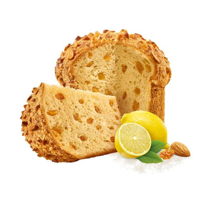 Panettone Uva e Limão Bauducco 500g | 6 unidades